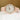 Ladies Handwriting Engraved Architect Blanc Watch - Light Pink Strap