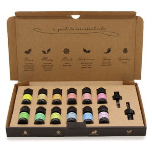 Aromatherapy Essential Oil Set - Starter Set