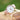 Ladies Modern Font Engraved Architect Blanc Watch - Light Pink Strap